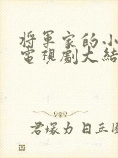 将军家的小娘子电视剧大结局封面