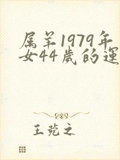 属羊1979年女44岁的运气