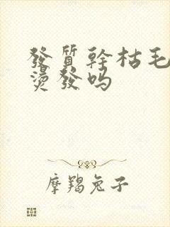 发质干枯毛躁能烫发吗封面