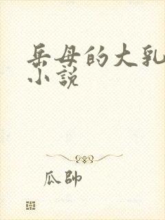 岳母的大乳房 小说