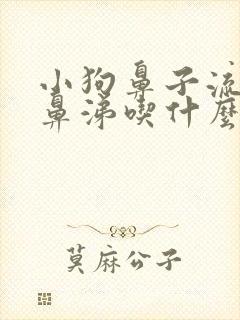 小狗鼻子流黄浓鼻涕吃什么药