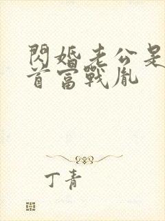 闪婚老公是千亿首富战胤封面