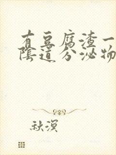 有豆腐渣一样的阴道分泌物怎么办