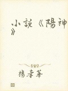 小说《阳神洪易》