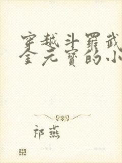 穿越斗罗武魂是金元宝的小说