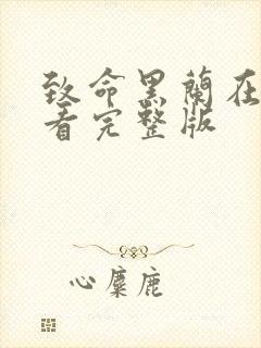 致命黑兰在线观看完整版封面