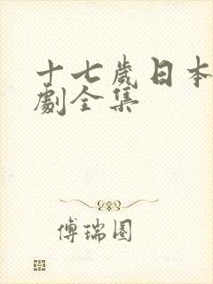 十七岁日本电视剧全集封面