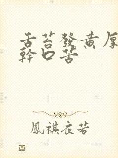 舌苔发黄厚腻口干口苦