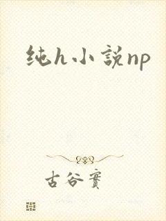 纯h小说np
