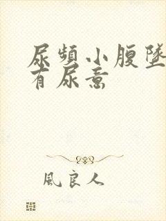 尿频小腹坠胀总有尿意