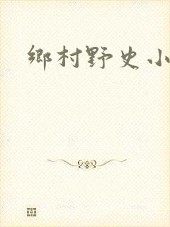 乡村野史小说