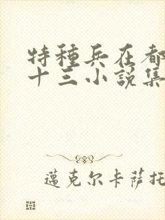 特种兵在都市夜十三小说集