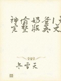 神偷奶爸1免费完整版英文版封面