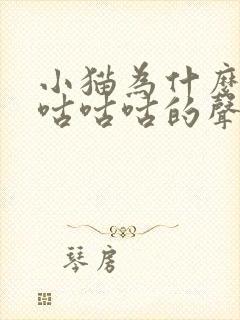 小猫为什么发出咕咕咕的声音