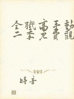 全职高手动漫第二季免费观看完整版