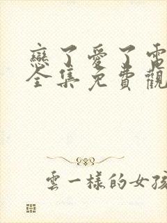 恋了爱了电视剧全集免费观看完整版