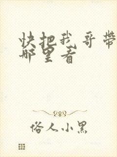 快把我哥带走从哪里看