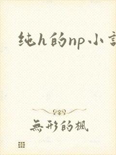 纯h的np小说封面