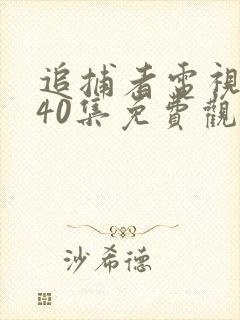 追捕者电视剧共40集免费观看