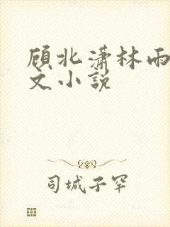 顾北潇林雨菲全文小说