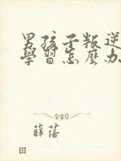 男孩子叛逆期不学习怎么办封面