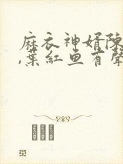 麻衣神婿陈黄皮,叶红鱼有声小说封面