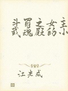 斗罗之女主加入武魂殿的小说