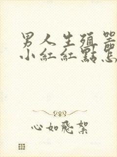 男人生殖器上长小红红点怎么回事