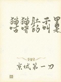 猫猫肚子里咕噜咕噜的叫是什么原因