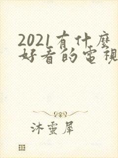 2021有什么好看的电视剧封面