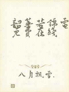 韶华若锦电视剧免费在线封面