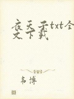 夜天子txt全文下载