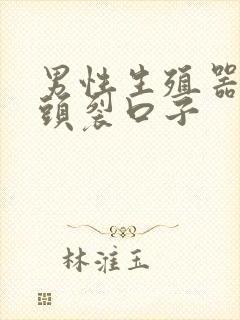 男性生殖器包皮头裂口子封面