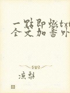 一点即燃txt全文加番外封面