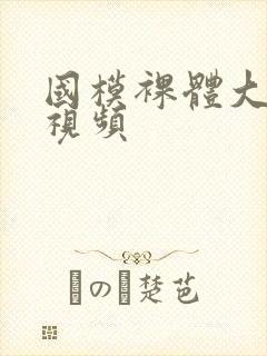国模裸体大尺度视频
