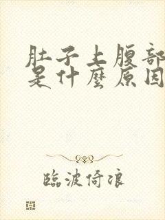 肚子上腹部疼痛是什么原因