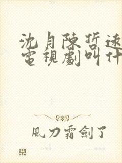 沈月陈哲远演的电视剧叫什么