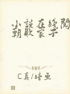 小说在线阅读明朝败家子封面