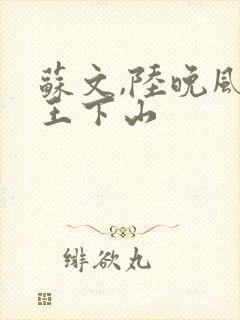 苏文,陆晚风阎王下山