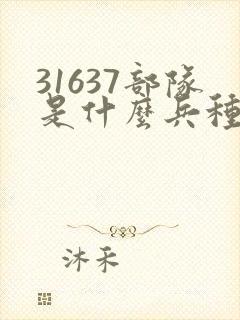 31637部队是什么兵种