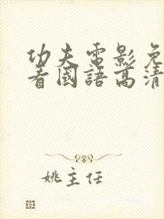 功夫电影免费观看国语高清