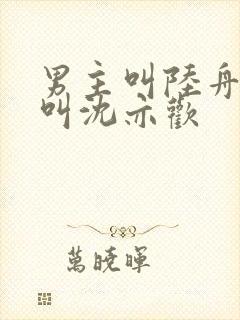 男主叫陆舟女主叫沈亦欢