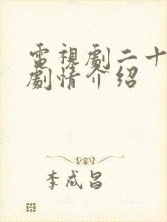 电视剧二十一天剧情介绍封面