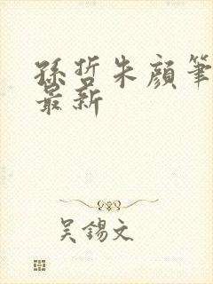 孙哲朱颜笔趣阁最新封面