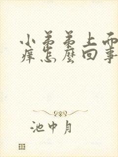 小弟弟上面皮肤痒怎么回事