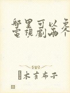 哪里可以免费看电视剧两个人的小森林