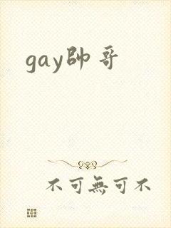 gay帅哥