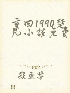 重回1990楚凡小说免费阅读封面