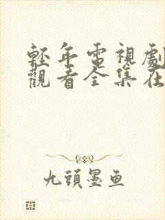 轻年电视剧免费观看全集在线播放高清