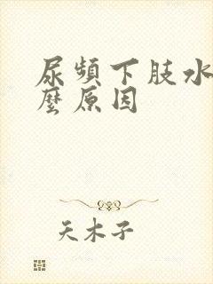 尿频下肢水肿什么原因封面